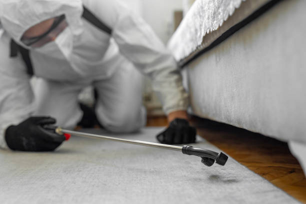Professional Bed Bug Control technician working in Malibu, CA